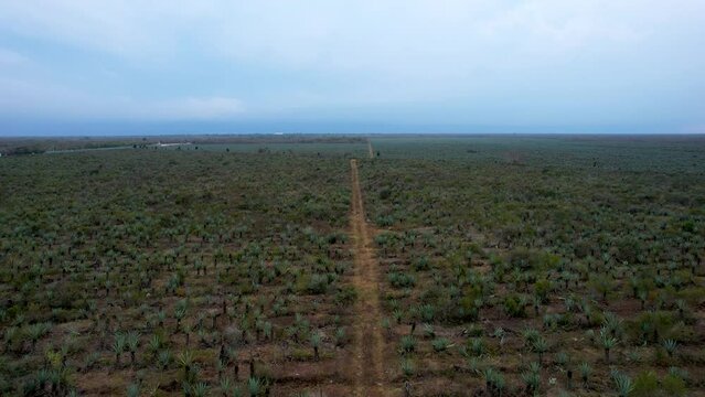 aerial shot of huge henequen plantation at yucatan mexico during storm