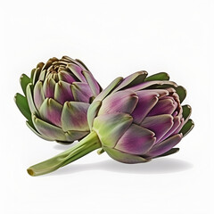 Bouquet of artichoke flower plant with leaves isolated on white background. 3D rendering. Flat lay, top view. macro