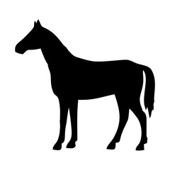 horse silhouette vector