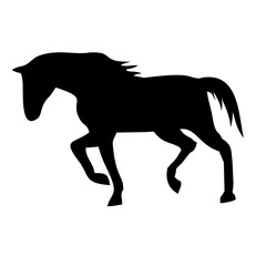 silhouette of a horse