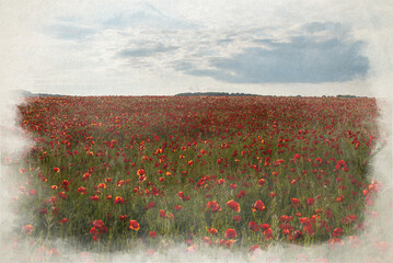 A digital watercolour painting of A red poppy field at sunset in the Peak District National Park.