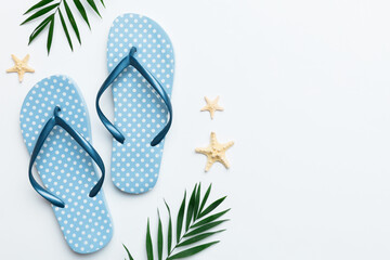 Flat lay composition with flip flops and seashell on colored background. Space for text top view