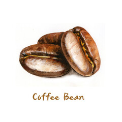 coffee beans watercolors illustration