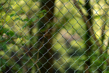 Fence in front of the blurred forest. Pattern and texture boket background.