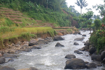 The flow of the river that flows between rocks. A scene of wild river water flowing in the forest. Views of the river forest water and rocks