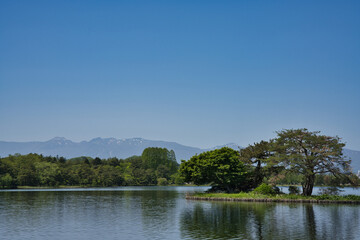 Fototapeta premium 南湖から見える風景
