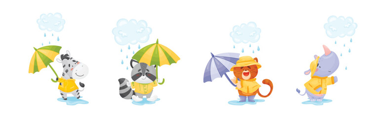 Smiling Animals Wearing Coat Walking on Puddles in Rainy Day with Umbrella Vector Set