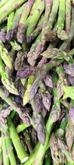 Fresh very beautiful green asparagus, collected from the garden, lies in large quantities on top of each other