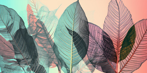contemporary banner x ray style, leaves pattern  on pastel background, generative ai illustration
