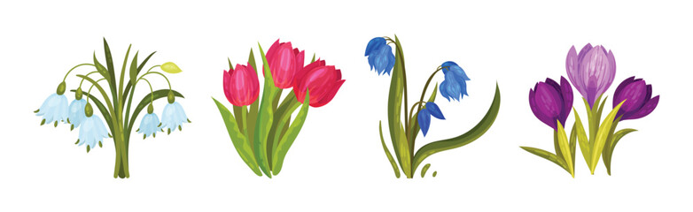 Spring Flowers on Green Stem as Seasonal Botany Growing Vector Set