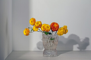 Chrysanthemums flowers in vase. Bouquet of colorful autumn chrysanthemums flowers in vase for decoration home. Florist, floristry