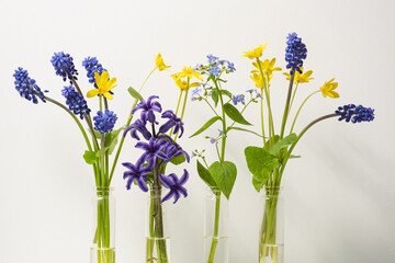 Beautiful spring flowers - buttercup flower, buttercup, forget-me-not, ficaria, hyacinth. Springtime. Spring colorful flowers