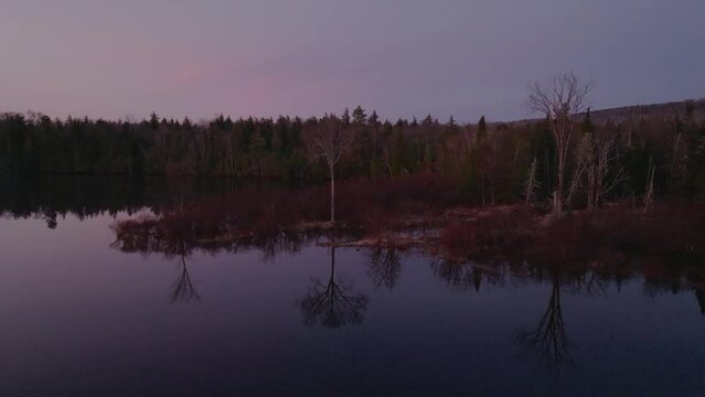 Trees reflected in the still water across Monson Pond 