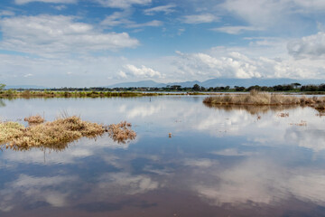 Lago di Caprolace Sabaudia (Latina)