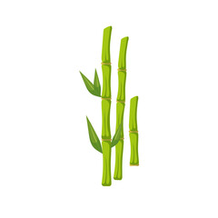 Vector bamboo sticks with leaves. Cartoon illustration isolated on white background.