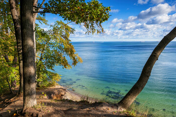 Coast of the Baltic Sea in Autumn - 599519092