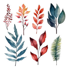 watercolor illustration, leaves and nature elements set 6