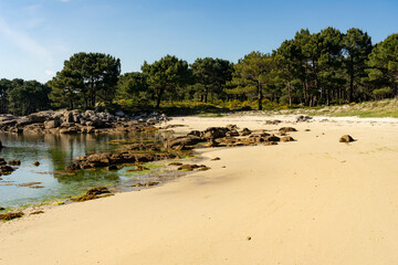 Fototapeta premium Beach at sunset in the Carreirón Natural Park into the Arousa island with the pine forest