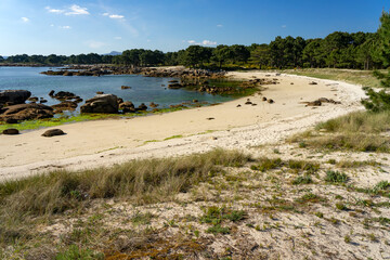 Beach at sunset in the Carreirón Natural Park into the Arousa island with the pine forest