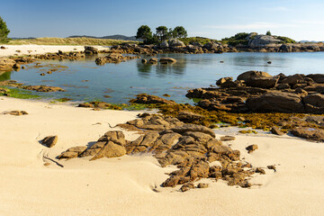 Obraz premium Beach at sunset in the Carreirón Natural Park into the Arousa island with the pine forest