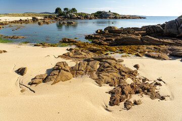 Beach at sunset in the Carreirón Natural Park into the Arousa island with the pine forest