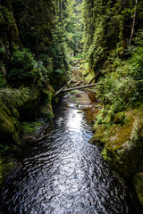 Kirnitsch im Nationalpark Sächsische Schweiz, Sachsen, Deutschland