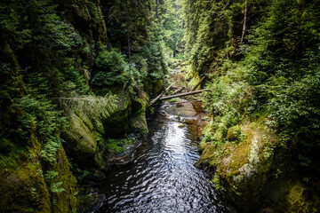 Kirnitsch im Nationalpark Sächsische Schweiz, Sachsen, Deutschland