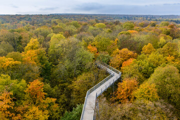 Baumkronenpfad im Nationalpark Hainich, Thüringen, Deutschland