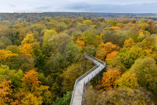 Baumkronenpfad im Nationalpark Hainich, Th&uuml;ringen, Deutschland