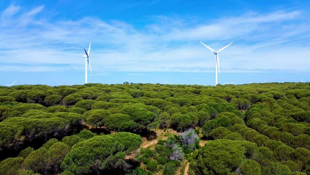 Group of windmills for electric power production in the forest, Beautiful white windmill on blue sky background 
