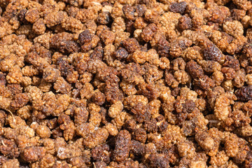 dry mulberry. dried medicinal fruits.