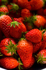 A lot fresh strawberries in a bowl. Freshly harvested.