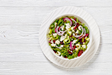 Green Salad with Apples, Goat Cheese, Cranberries, Red Onion and green pumpkin seeds in white bowl on white wood table, horizontal view from above, flat lay, copy space