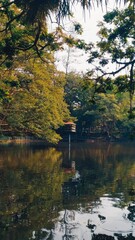 Obraz premium Autumn in the forest, recflecting water autumn, autumn in the pond