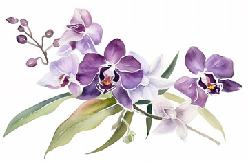 orchid and leaves watercolor flower illustration, can be used as greeting card, invitation card for wedding, birthday and other holiday, white background