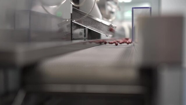 "How pharmaceutical drugs are made: a behind-the-scenes look"