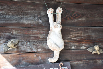 飾り物,猫,動物, 食べ物, 白, 孤立した, 子猫, イラスト, 肉, ベクター, 哺乳動物, manga