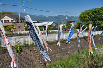 鯉のぼり, 青空, こどもの日, 空, 泳ぐ, 鯉, つるすこと, 青, 色,流れる