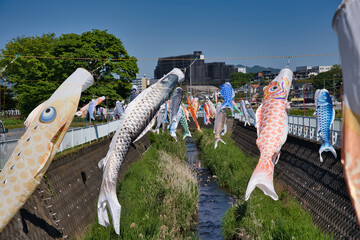 鯉のぼり, 青空, こどもの日, 空, 泳ぐ, 鯉, つるすこと, 青, 色,流れる