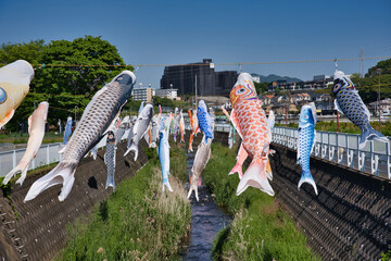 鯉のぼり, 青空, こどもの日, 空, 泳ぐ, 鯉, つるすこと, 青, 色,流れる