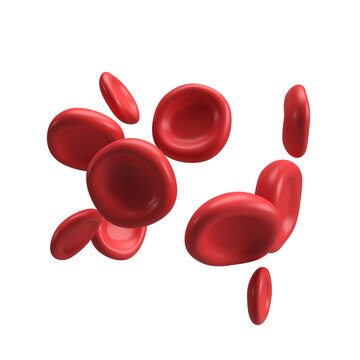 3d flow red blood cells iron platelets erythrocyte. Realistic medical analysis illustration isolated transparent png background