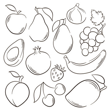 Vector sketch fruits and berries icons set. Decorative line art style collection hand drawn farm product for restaurant menu, market label. Mango, pomegranate, strawberry.
