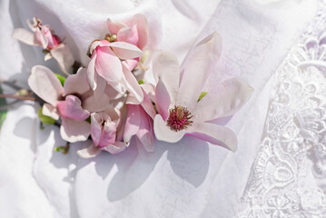 Fototapeta na wymiar bouquet of Magnolia flowers on a white fabric background. Spring mood. delicate flower