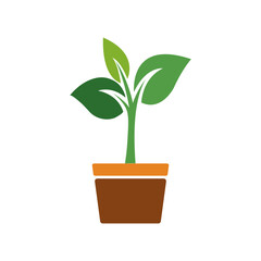 Potted plant colorful icon, symbol of growth and gardening, house potted plant, potte plant vector illustration.