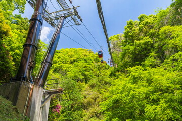 新緑とロープウェイ　神戸市中央区にて