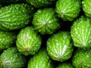 Fototapeta premium Bitter Gourd