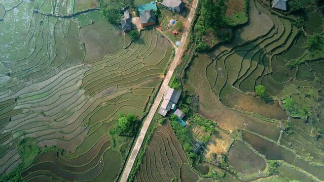 Terraced rice paddies in the North of Vietnam.  Birds eye drone view of parch worked landscape with farm housing and water filled agriculture layers ready prepared for the seasonal crop.