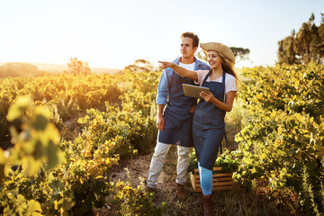 Making the season a fruitful one with smart technology. an affectionate young couple using a digital tablet together on a farm.