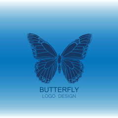 butterfly on blue background