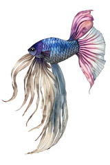 ai-generated watercolor illustration of an isolated betta fish